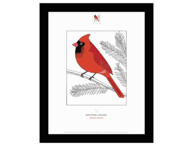 4 Framed Illustrations of the Birds in Winter Stamps