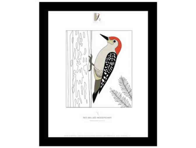 4 Framed Illustrations of the Birds in Winter Stamps