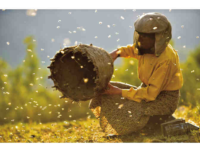 Season Pass to 2019/2020 Annual Woodstock Film Series