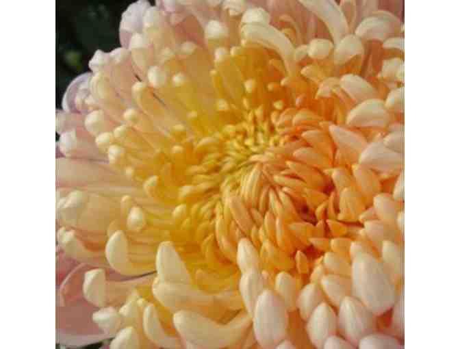 Family Membership to Buffalo & Erie County Botanical Gardens