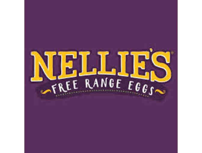 5 Coupons - Any Size Nellie's Free Range Eggs