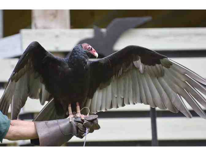 Family Membership to VINS