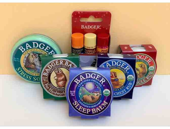 Badger Balm Gift Pack! - Photo 1