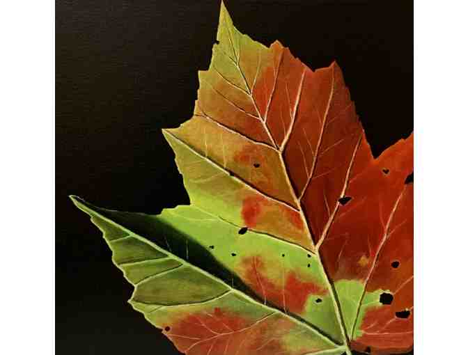 "Autumn Glory" Canvas by Chip Evans - Photo 1
