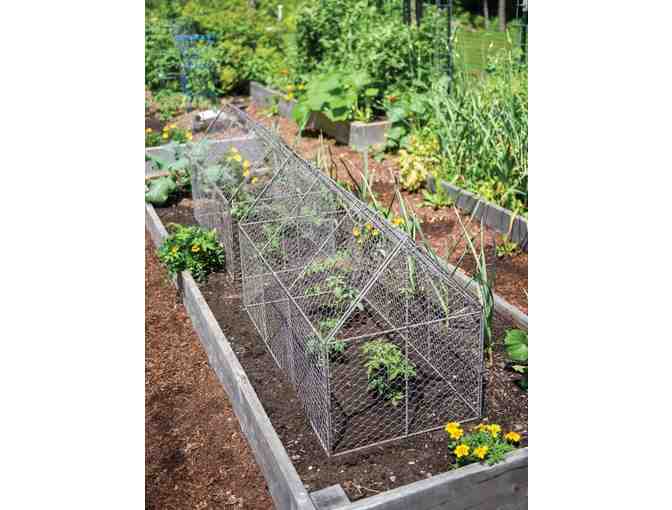Chicken Wire Crop Coop from Gardener's Supply Company