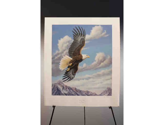 Eagle in Flight 'Soaring Free' Limited Edition print by David Chapple