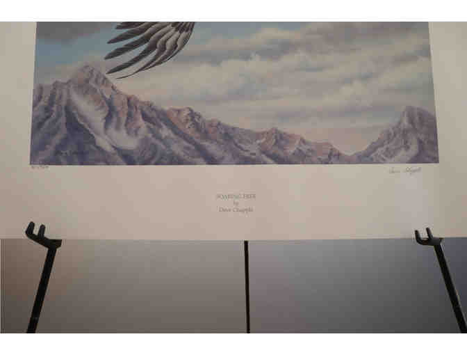 Eagle in Flight 'Soaring Free' Limited Edition print by David Chapple