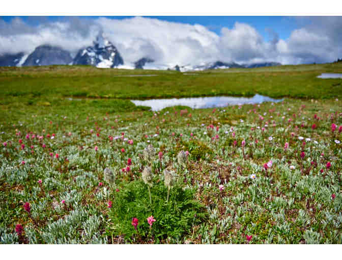 Backcountry Lodge British Columbia, 3-Night Weekend or 4-Night Weekday All-Inclusive Stay