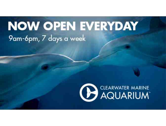 J2: Clearwater Marine Aquarium (4)