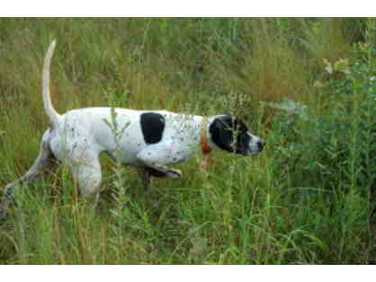 L14. Sportsman's Dream