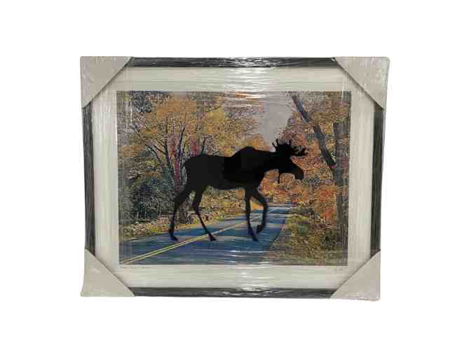 Framed Charles Pachter Moose Crossing - Photo 1