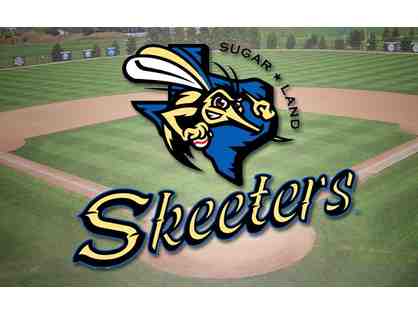 Sugar Land Skeeters All Star Birthday Party