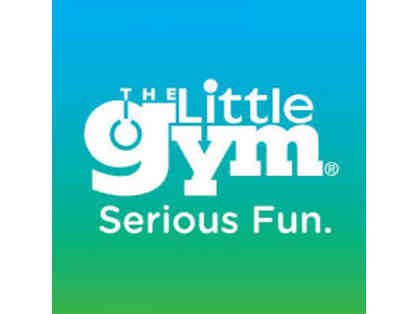The Little Gym Houston-Bellaire