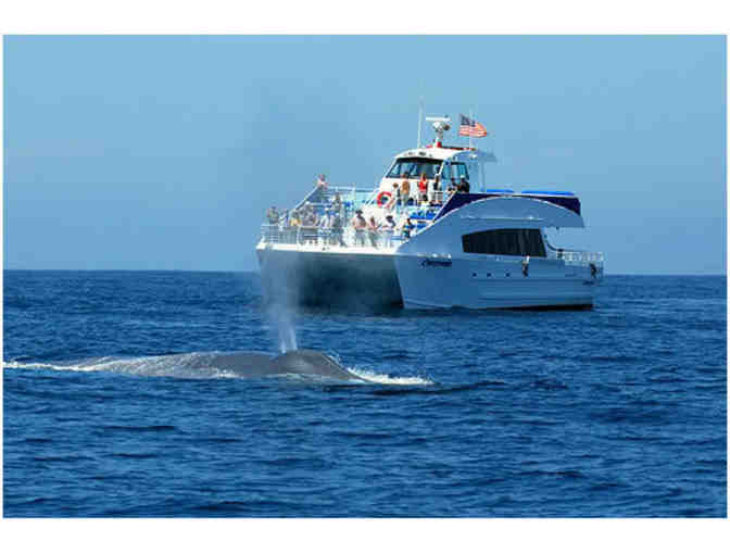 Whale Watching Cruise for Two - Harbor Breezes in Long Beach