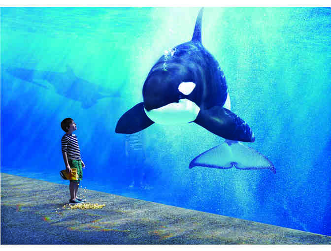 SeaWorld San Diego Tickets for 4 with Gift Bag
