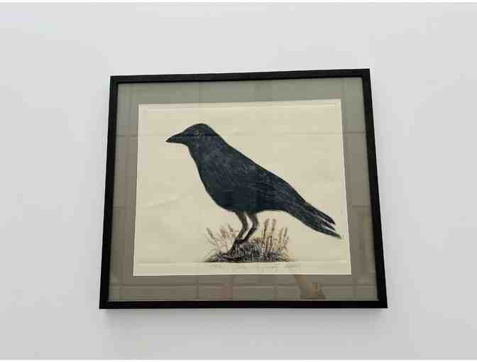 Crow by Russell Yuristy - Photo 1