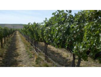 PRIVATE WINE TASTING PARTY FOR 12 - WOODINVILLE, WA