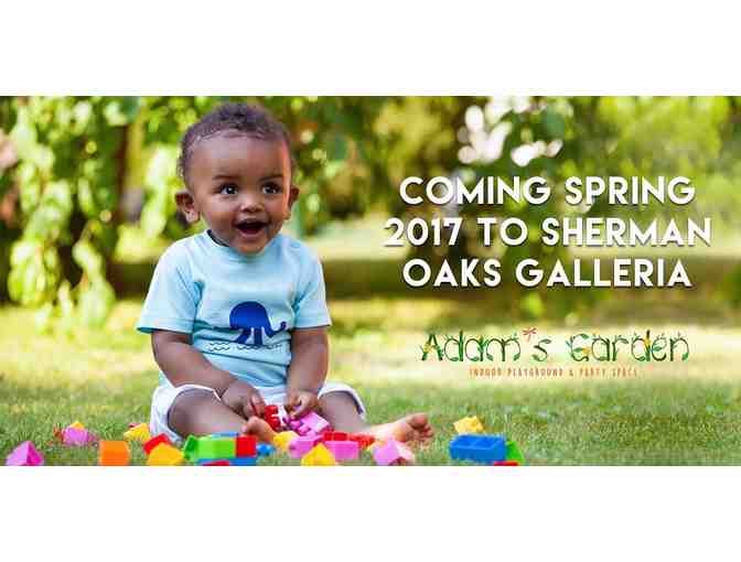 Adam's Garden Children's Indoor Playground & Party Space - 1 Year Membership