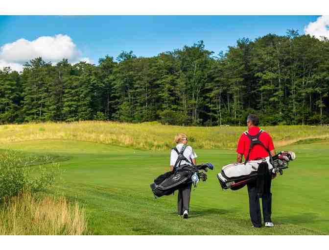 Swing Perfection & Treetop Midweek Golf Vacation