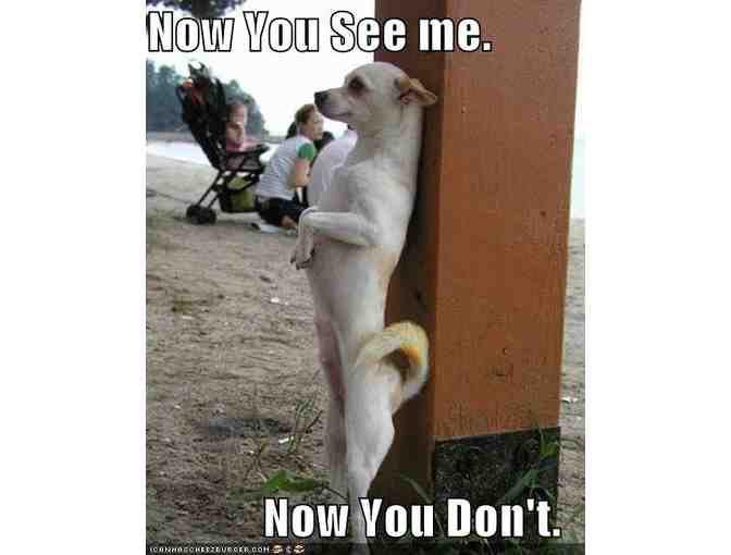 Now You See Me...Wisconsin Vision & Ray-Ban