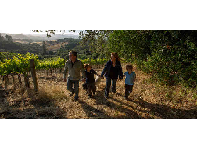 Sip & Soar Through Napa Valley - Includes Airfare for 2