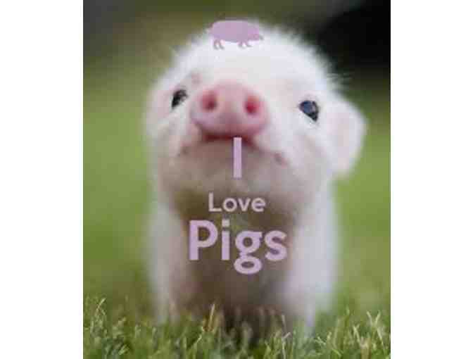 I Love Pigs Kids Package