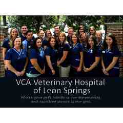 VCA Veterinary Hospital of Leon Springs