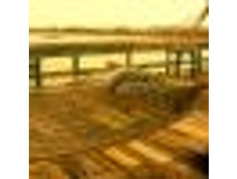 Pawley's Island Rope Hammock - Presidential