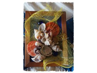 Seashell Artwork Set of 3