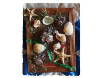 Seashell Artwork Set of 3