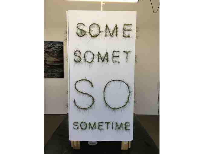 'Sometime' by Bill Schuck
