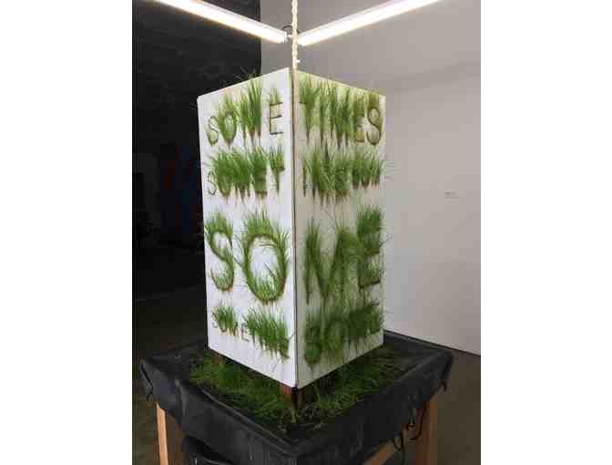 'Sometime' by Bill Schuck