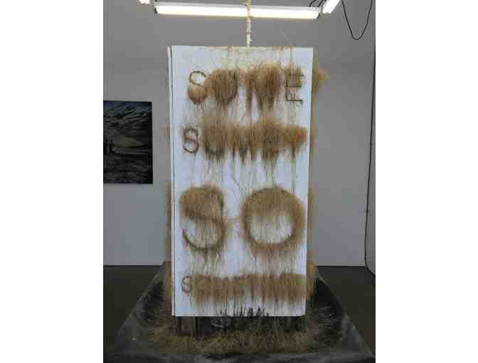 'Sometime' by Bill Schuck