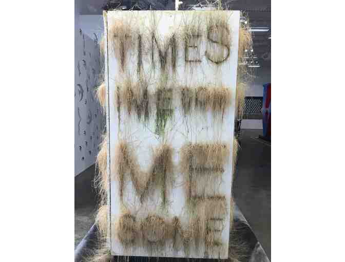 'Sometime' by Bill Schuck