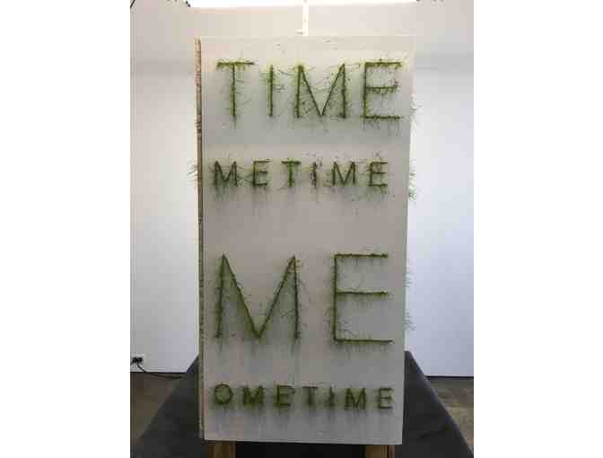 'Sometime' by Bill Schuck