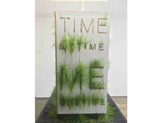 'Sometime' by Bill Schuck