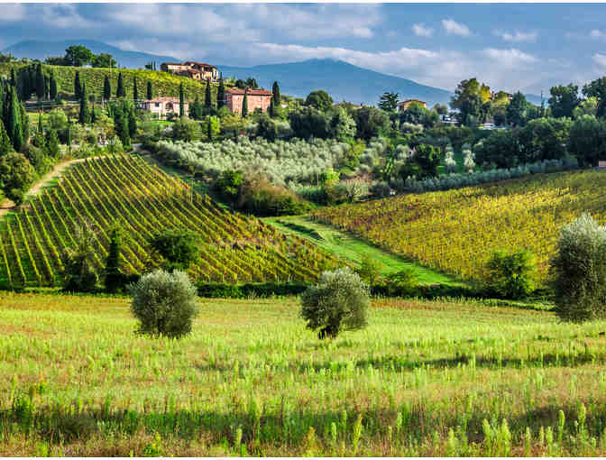 Taste of Tuscany - Wines - Photo 1