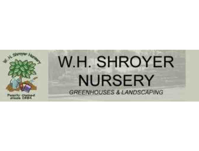 $25 Shroyer Nursery Gift Certificate