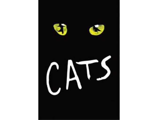 2 Tickets to Cats at the Marriott Lincolnshire