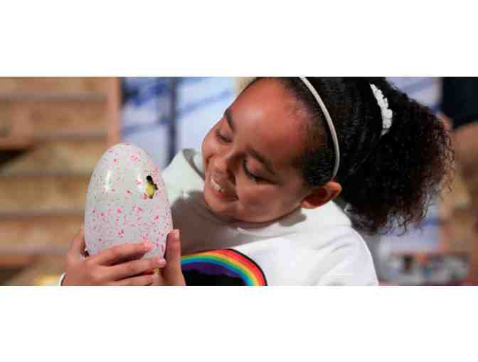 Hatch A Hatchimal with Mrs. Garage *MUST HAVE Toy of the season*