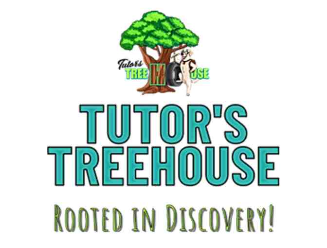 4 sessions of Kung-Fu from Tutor's Treehouse! - Photo 1