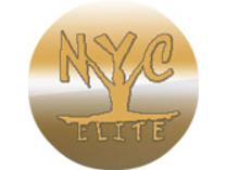 NYC Elite Gymnastics: One Week Summer Camp