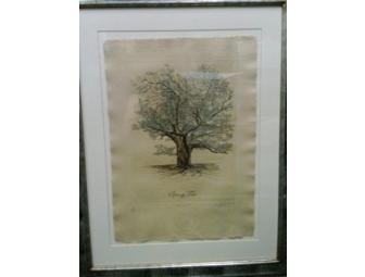 Beautiful Framed Print: Spring Time