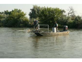 SNAKE RIVER CATFISH COLLECTION