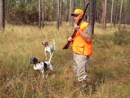 Quail Hunting with FWC Executive Director Nick Wiley