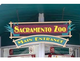 Lions, Tigers & Bears, oh my!  Sacramento Zoo