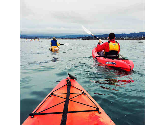 Monterey Bay Kayaking and Whale Watching