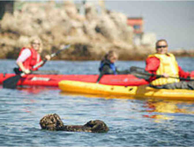 Monterey Bay Kayaking and Whale Watching