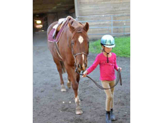 Three Introductory English Riding Lessons