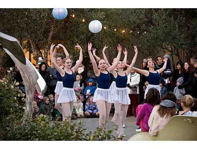 2 Consecutive Months of Dance Classes at Sonoma Conservatory of Dance